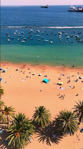 Golden Sands and Ocean of Tenerife in 4K 🌞 | Playa de Las Teresitas with Natural Wave Sounds