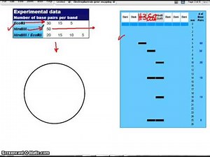 Plasmid Mapping