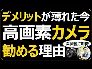 ニコン 高画素のフルサイズミラーレス一眼カメラを選ぶ理由を解説 【高品質レンズが大事】 Nikon Z7III（仮）に期待。