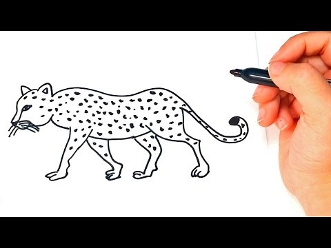 How to draw a Leopard | Leopard Easy Draw Tutorial