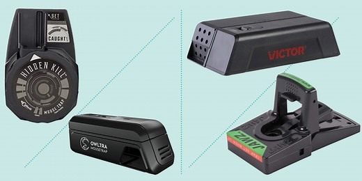 The Best Mouse Traps, According to Home Experts—Plus the One Type They Never Recommend