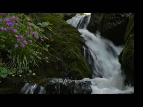 CASCADA, SONIDO AGUA RELAJANTE, CAYENDO, CORRIENDO Y FLUYENDO