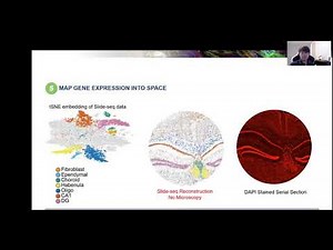 Fei Chen, Slide seq a platform for understanding cellular circuits in tissue