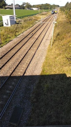 Deltic D9000 (55022) returning to Crewe from Heaton Depot open day at a sun blessed Badger Bridge