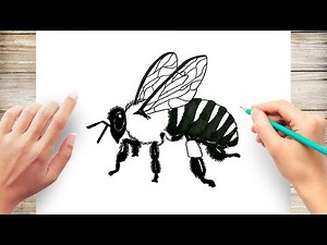 How to Draw a Realistic BEE Step by Step
