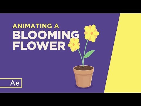 Animating a Blooming Flower - After Effects Tutorial