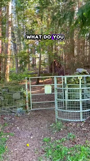 Now that’s a fence! #countryside #rural #farming #walking #rurallife