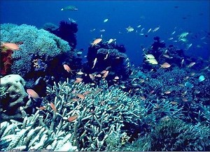 Lesson 1 - Distance, Position, and Displacement