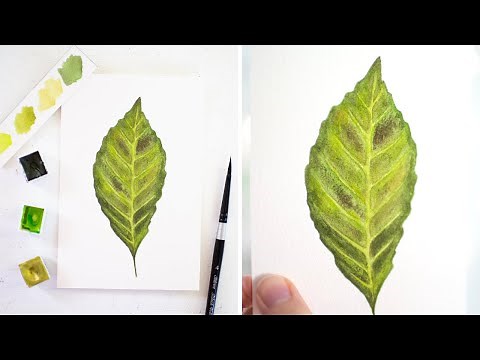 The PERFECT Beginner Watercolor Tutorial | Watercolor Painting for Beginners - Lesson 5