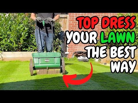 The Best Way to TOP DRESS Your LAWN This AUTUMN