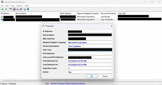 Wireless Network Watcher - Download