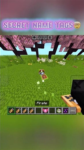SECRET Minecraft Name Tags You Didn’t Know! 🤯 #minecraft