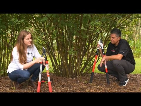 Using Loppers for Garden Maintenance