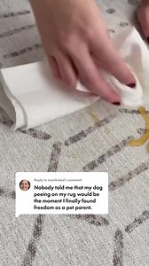 811K views · 5 comments | Say goodbye to scrubbing with spillproof, machine washable rugs. Safe for pets & kids, and contains zero PFAS or BPA. ✨All sizes fit in household washer & dryer ✨Includes cushioned, non-slip pad ✨Stylish, hand-illustrated designs ✨Free shipping & 30-day returns | Tumble | Facebook