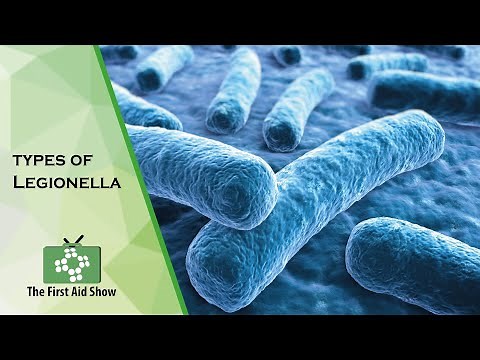 Learn more about Legionella, bacteria responsible for Legionnaires disease and Pontiac fever