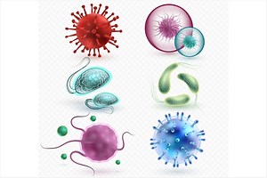 Types of Microbes