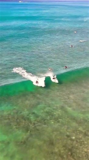 Bodyboard surfing with the boogie on a little wave. #surfers #surfing #waves #oahu #hawaii