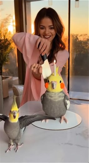 Cockatiel SCREAMS 'MURDER!' Watching Owner Cut Cockatiel Cake! 😱🦜💔