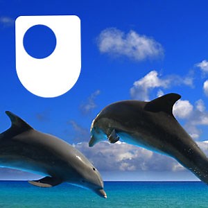 Exploring mathematics: a powerful tool