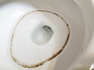 4 Methods to Get Rid from Mold in Toilet