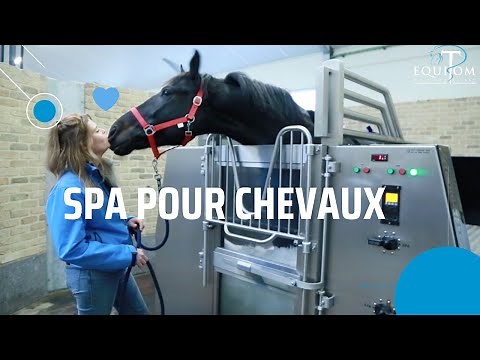 SPA pour chevaux, une THERAPIE fantastique!