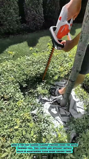 Hedge Trimmer Tool: Fast Shrub Base Garden Cleanup Method
