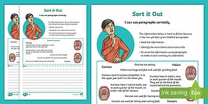 Sort Into Paragraphs Differentiated Worksheet Pack
