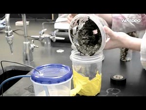 Creating a Microbial Fuel Cell