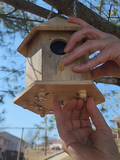 Geocaching Adventures: Not Just for Birds