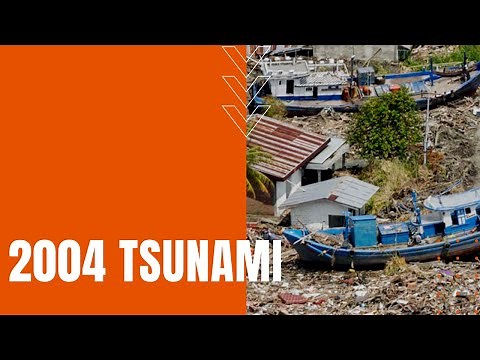 2004 Tsunami: Boxing Day Disaster Takes 230,000 Lives