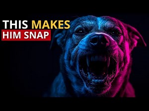 These 7 DAILY Habits Slowly Ruin Your Dog’s Trust