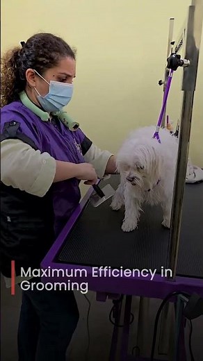 Best Pet Grooming Dryer 2025 | Wearable Hands-Free Dog Dryer