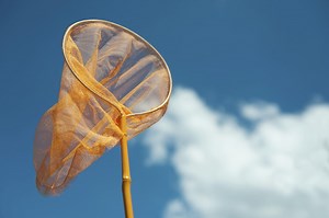 How to develop a bug bounty program - TechRepublic