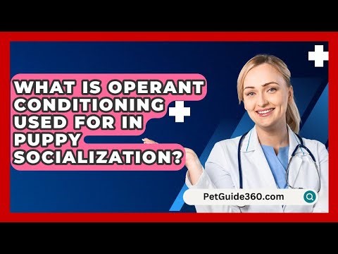 What Is Operant Conditioning Used For In Puppy Socialization? - PetGuide360.com
