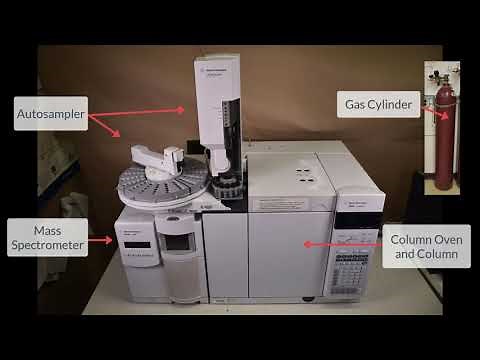 Gas chromatography mass spectrometry