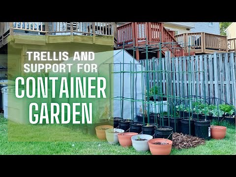 Container Garden Trellis and Tomato Cages or Plant Support