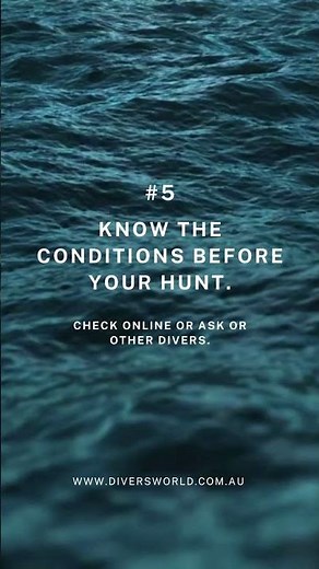 Spearfishing: 10 Tips for Beginners #spearfishing