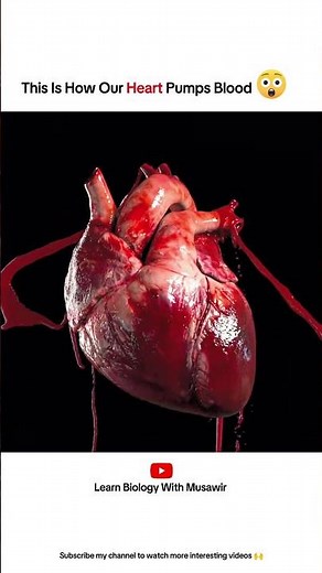 This is how our heart pumps blood 🤯 #cardiology