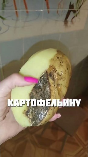 ПРАВДА ЖИЗНИ