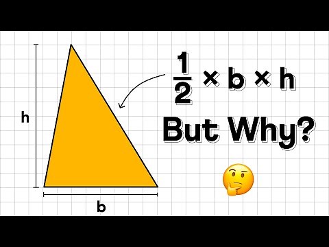 Area of Rectangles and Triangles