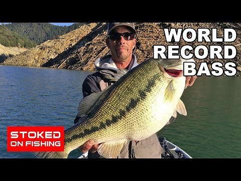 World Record Bass | Part 1