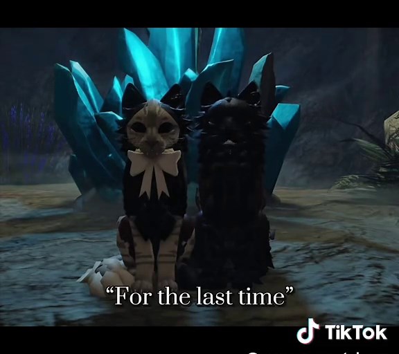 Warrior Cats Roblox Edits and Morphs Guide