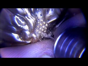 209K views · 3K reactions | Next video from amazing František Holub with micro pave setting | I Love Jewelry | Facebook