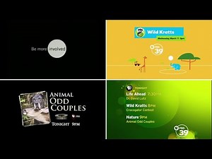 PBS Program Break (2015 WFWA-DT1)