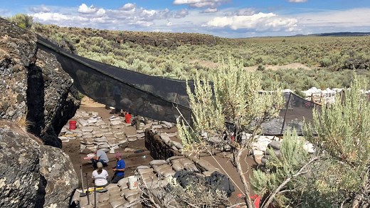 These are the oldest stone tools ever found in the United States