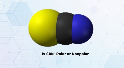 Is SCN- polar or nonpolar? - Thiocyanate Polarity