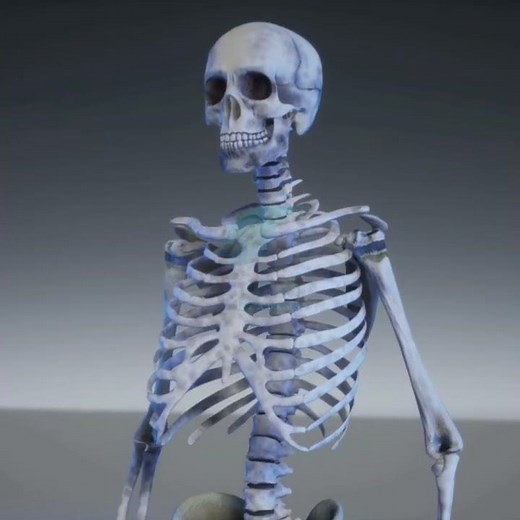 NCERT Class 6 Science Chapter 8 in Hindi Medium