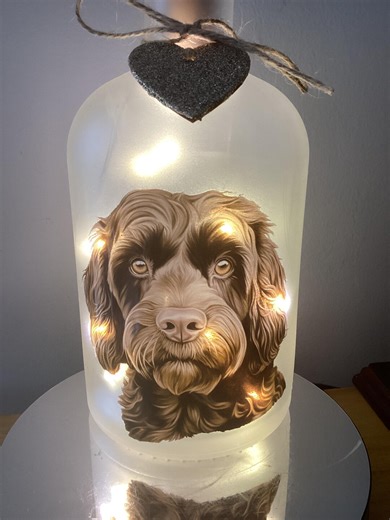 Dark Brown Cockapoo Dog Light up Bottle, Bottle Lamp. Can Be Personalised, Free Gift Messaging Service & Gift Bag - Etsy UK