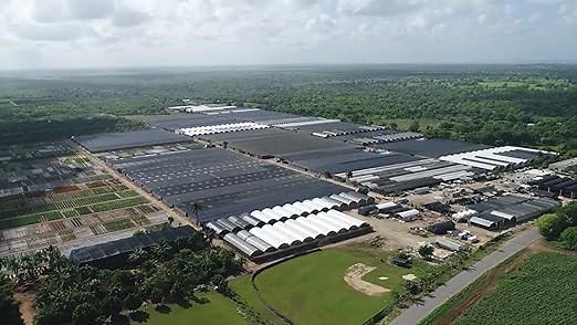 full spectrum led grow light for indoor plants