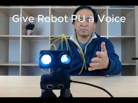 Give Robot PU a Voice! Micro:bit Text-to-Speech Tutorial